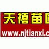南京雪松垂柳紫薇广玉兰女贞枫香蜀桧朴树皂角等
