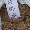 供应黑松种子、黄连木种子、刺槐种子、香樟种子、香椿种子等