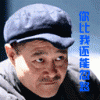 大量供应雪松，蜀侩，广玉兰，马褂木，高杆冬青。