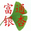 银杏树价格、最新银杏树价格、银杏树价格表