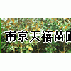 ★南京雪松产地黄连木杜仲蜀桧高杆女贞广玉兰石楠朴树等★ 