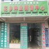 批发苗木种子、花卉种子、草坪种子