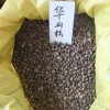 供应各类绿化种子