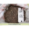 供应油松种子 山西油松籽 批发油松籽