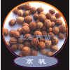 供白皮松籽油松籽华山松籽侧柏籽山桃子樟子松子
