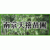 ★南京雪松大叶女贞广玉兰红叶石楠丛生朴树蜀桧速生法桐等