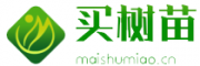 买树苗网
