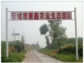 农业生态园